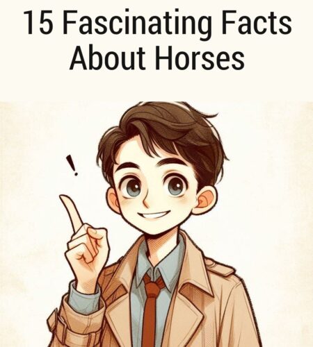 15 Fascinating Facts About Horses