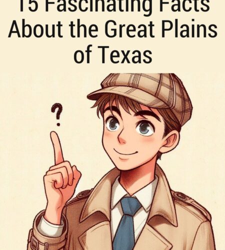 15 Fascinating Facts About the Great Plains of Texas