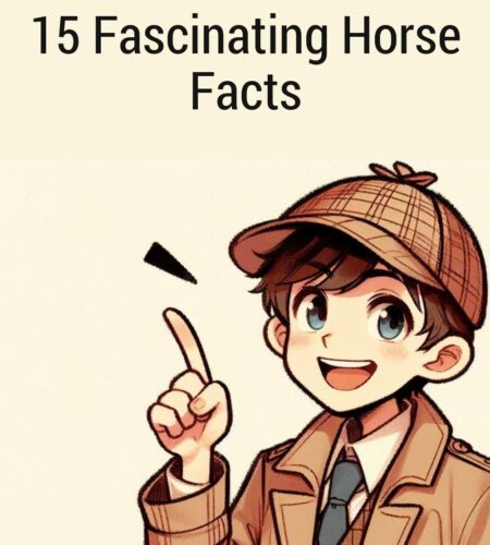 15 Fascinating Horse Facts