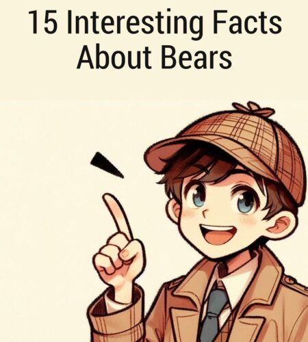 15 Interesting Facts About Bears