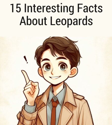 15 Interesting Facts About Leopards