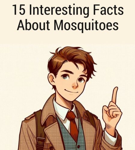 15 Interesting Facts About Mosquitoes