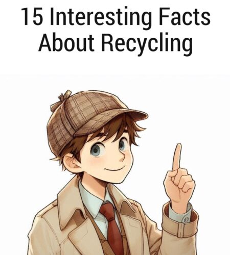 15 Interesting Facts About Recycling