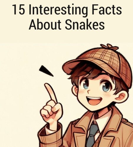 15 Interesting Facts About Snakes