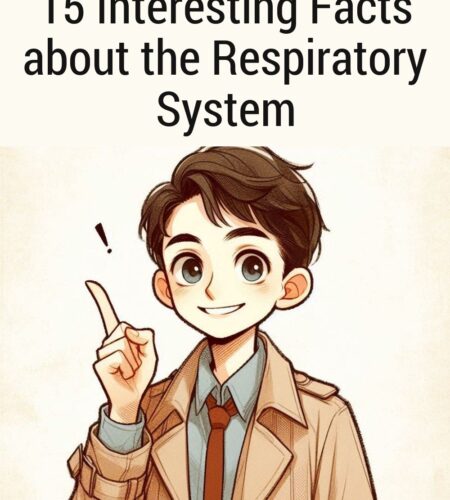 15 Interesting Facts about the Respiratory System