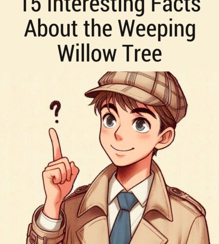 15 Interesting Facts About the Weeping Willow Tree