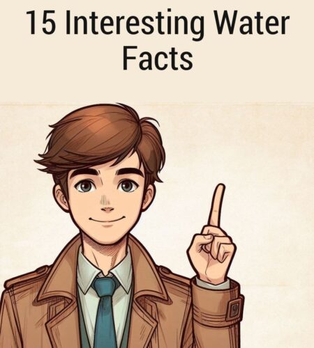 15 Interesting Water Facts