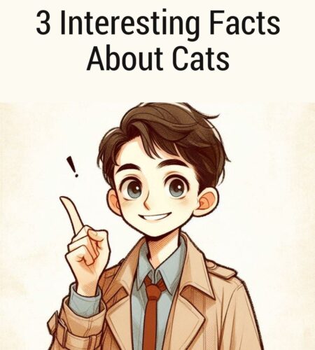 3 Interesting Facts About Cats