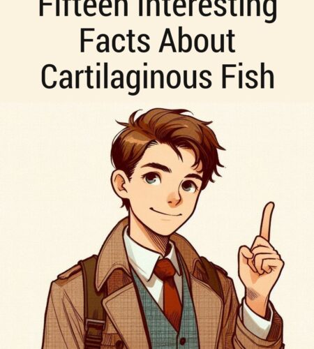 Fifteen Interesting Facts About Cartilaginous Fish